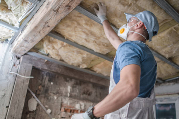 Best Insulation for Specific Applications in Timber Pines, FL