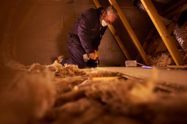 Best Types of Insulation in Timber Pines, FL
